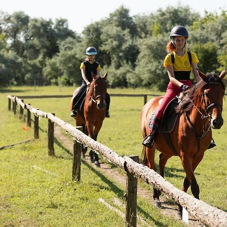 Hotel Forro Fogado & Bauer Bistro Roszke Zewnętrze zdjęcie