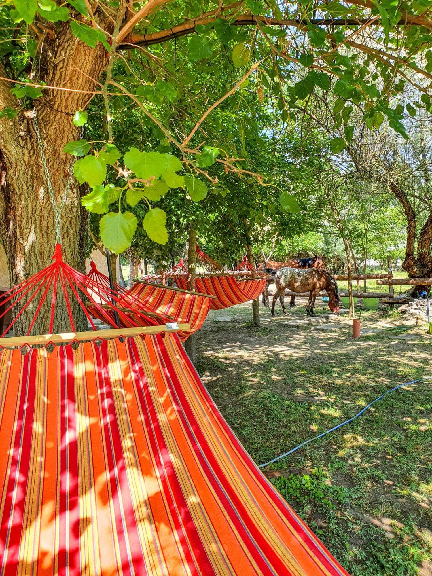 Hotel Forro Fogado & Bauer Bistro Roszke Zewnętrze zdjęcie