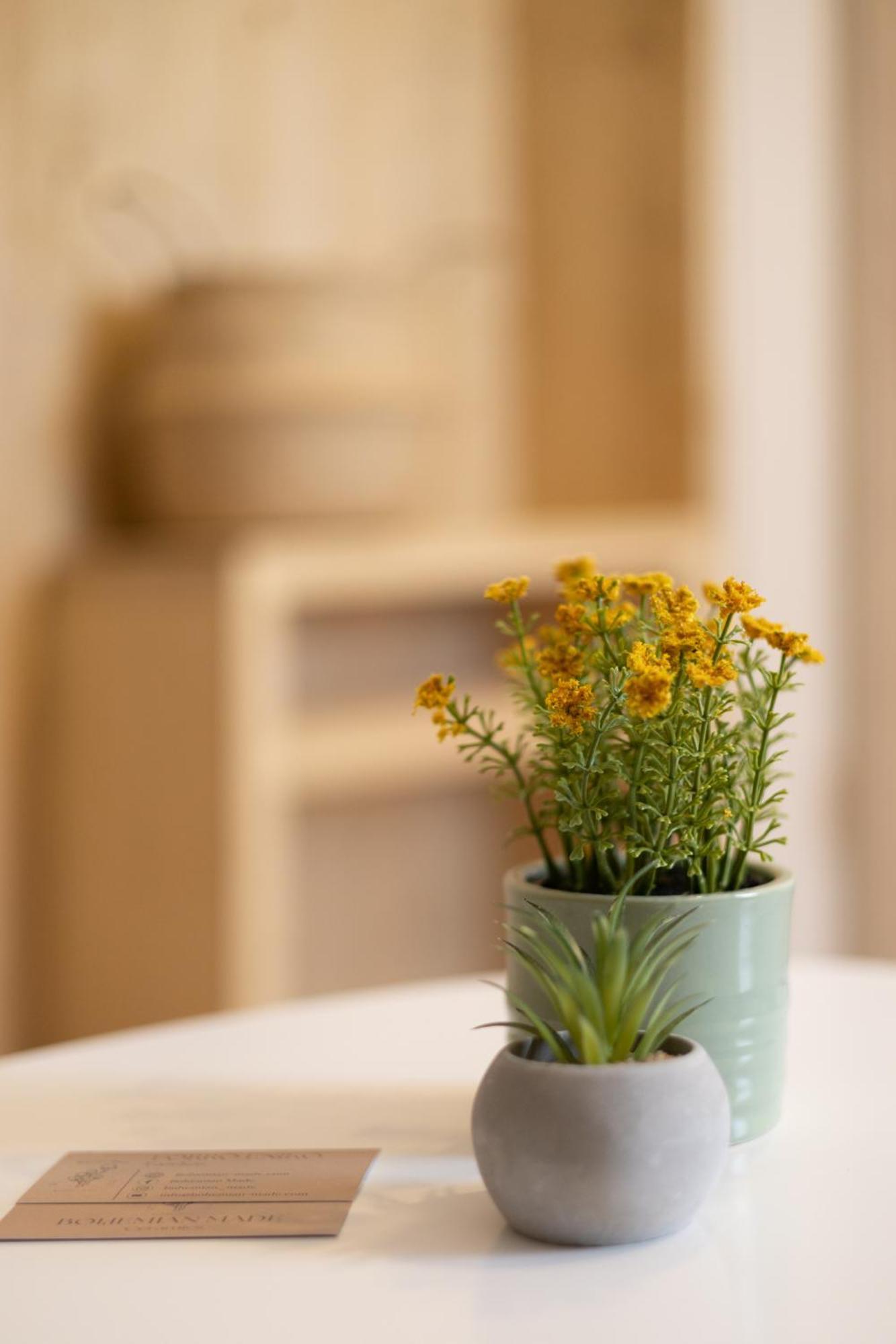 Hotel Forro Fogado & Bauer Bistro Roszke Zewnętrze zdjęcie